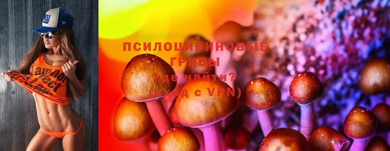 Галлюциногенные грибы Psilocybine cubensis  как найти закладки  Корсаков 